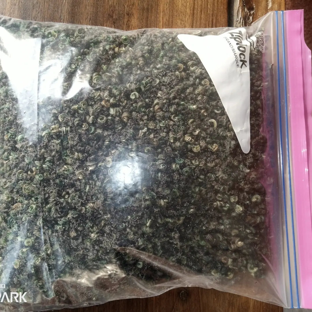 Sun dried isam