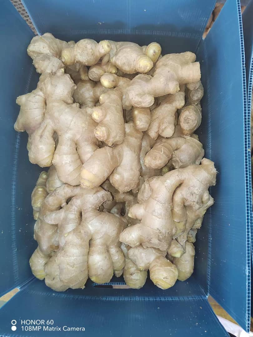 Dry ginger