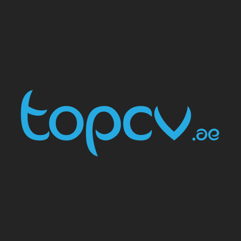 Top CV Services