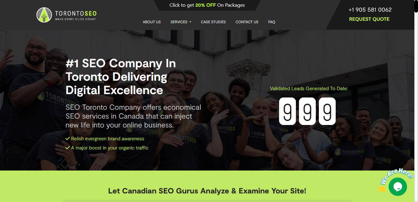 Specialized local SEO services