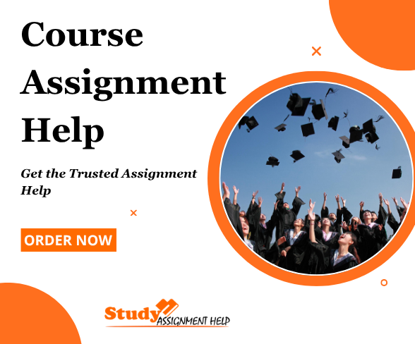 Searching for AI-free Course Assignment Help?